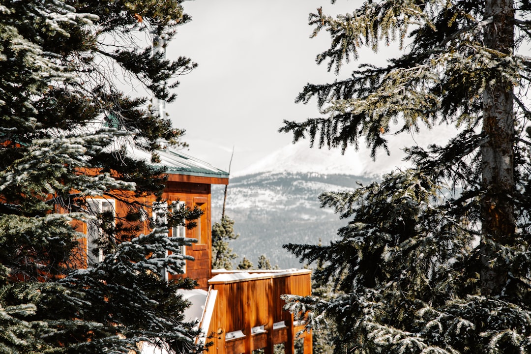 brown wooden house covered with snow near green trees during daytime