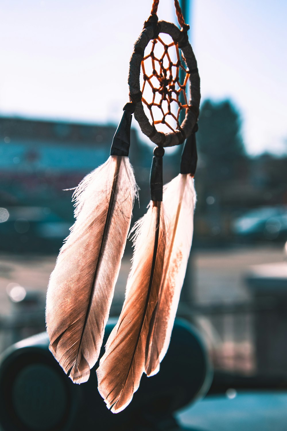 brown and black feather on brown textile