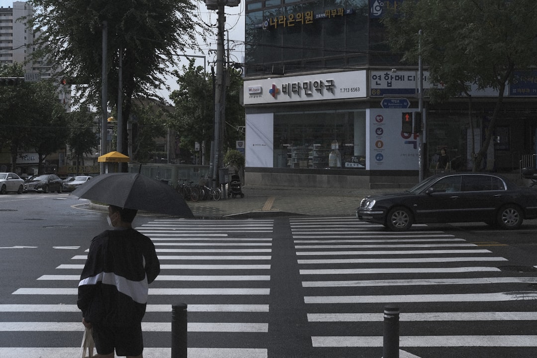 Exploring South Korea's Unique Hallyu Visa