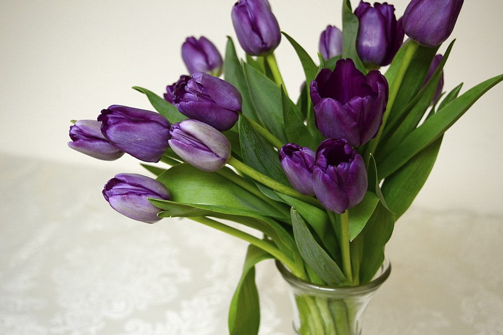 purple tulips in clear glass vase