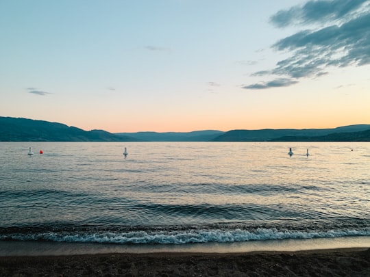 people on beach during daytime in Kelowna Canada