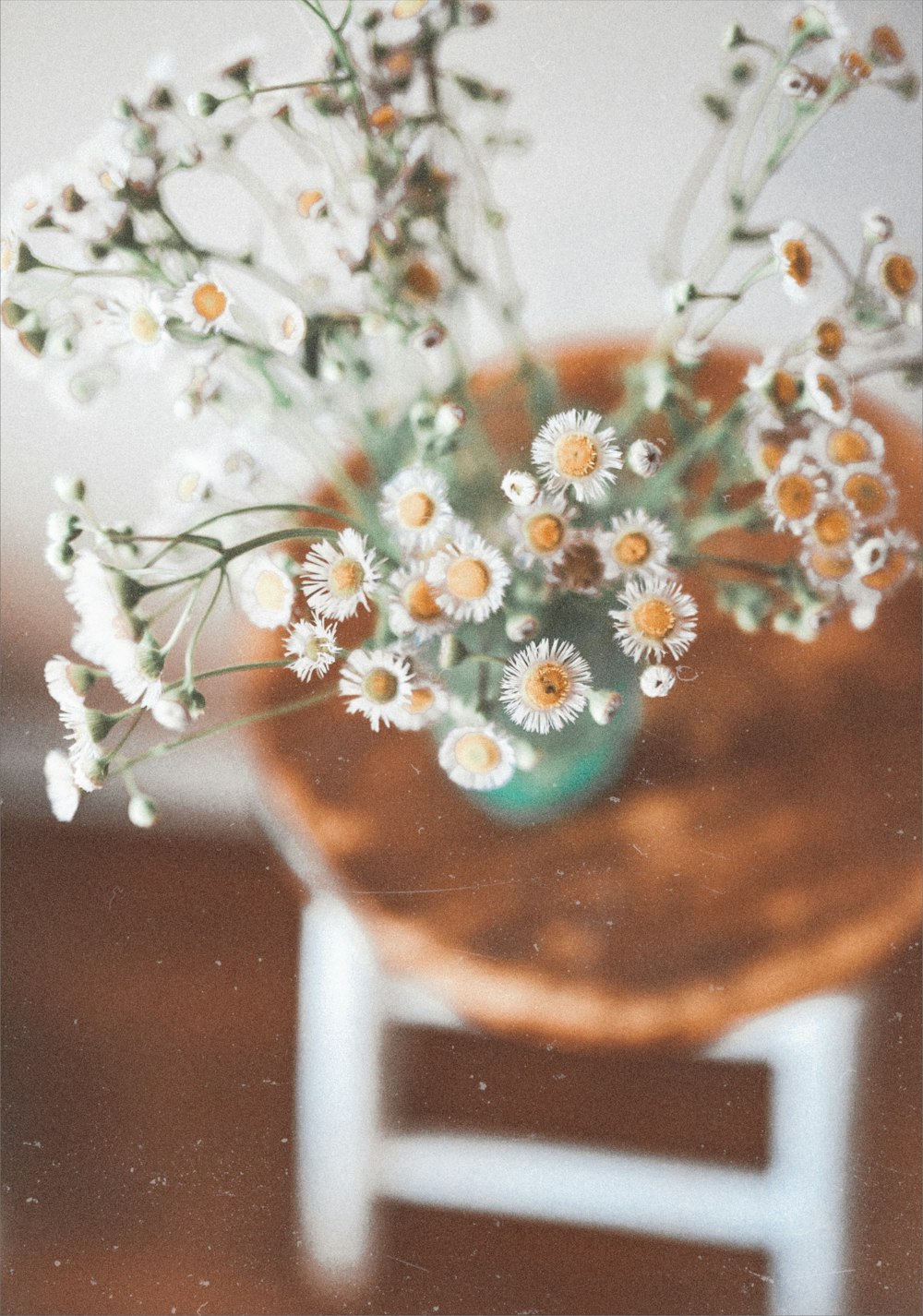 flores blancas sobre mesa de madera marrón