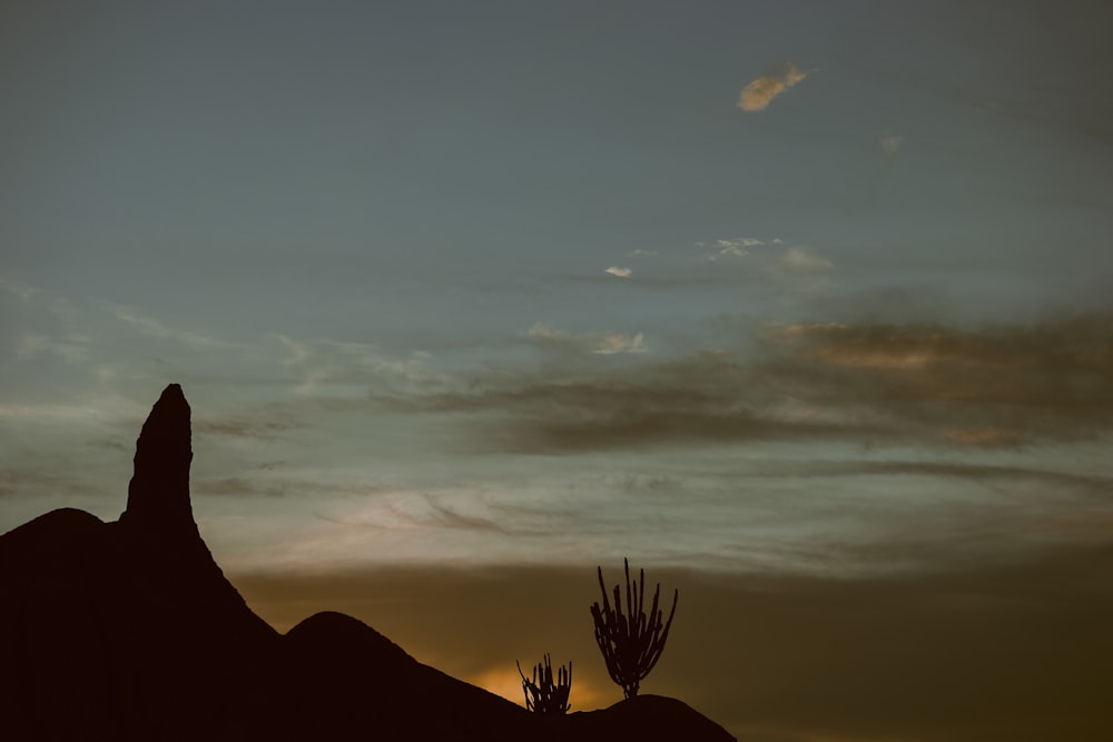 silhouette of palm tree under cloudy sky during daytime