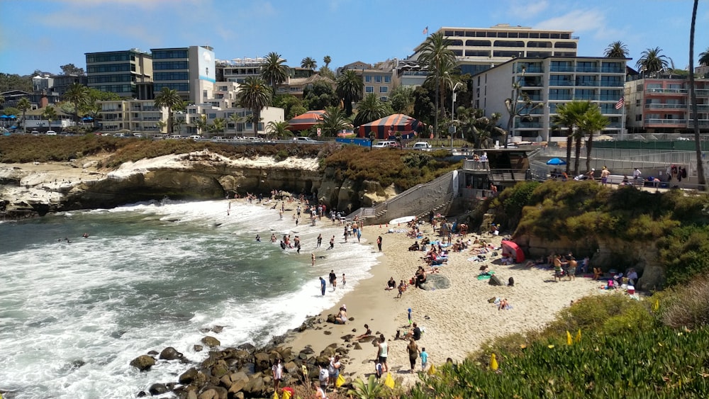 people on beach during daytime