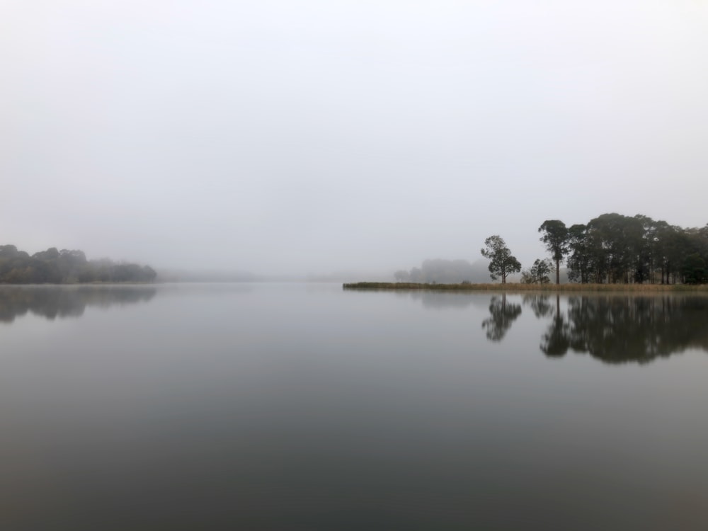 green trees near body of water during foggy weather