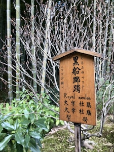 A wooden sign with black inscriptions in both Japanese and English stands in a lush natural setting. Surrounding it are slender bamboo stalks and budding branches, with greenery and moss covering the ground below.