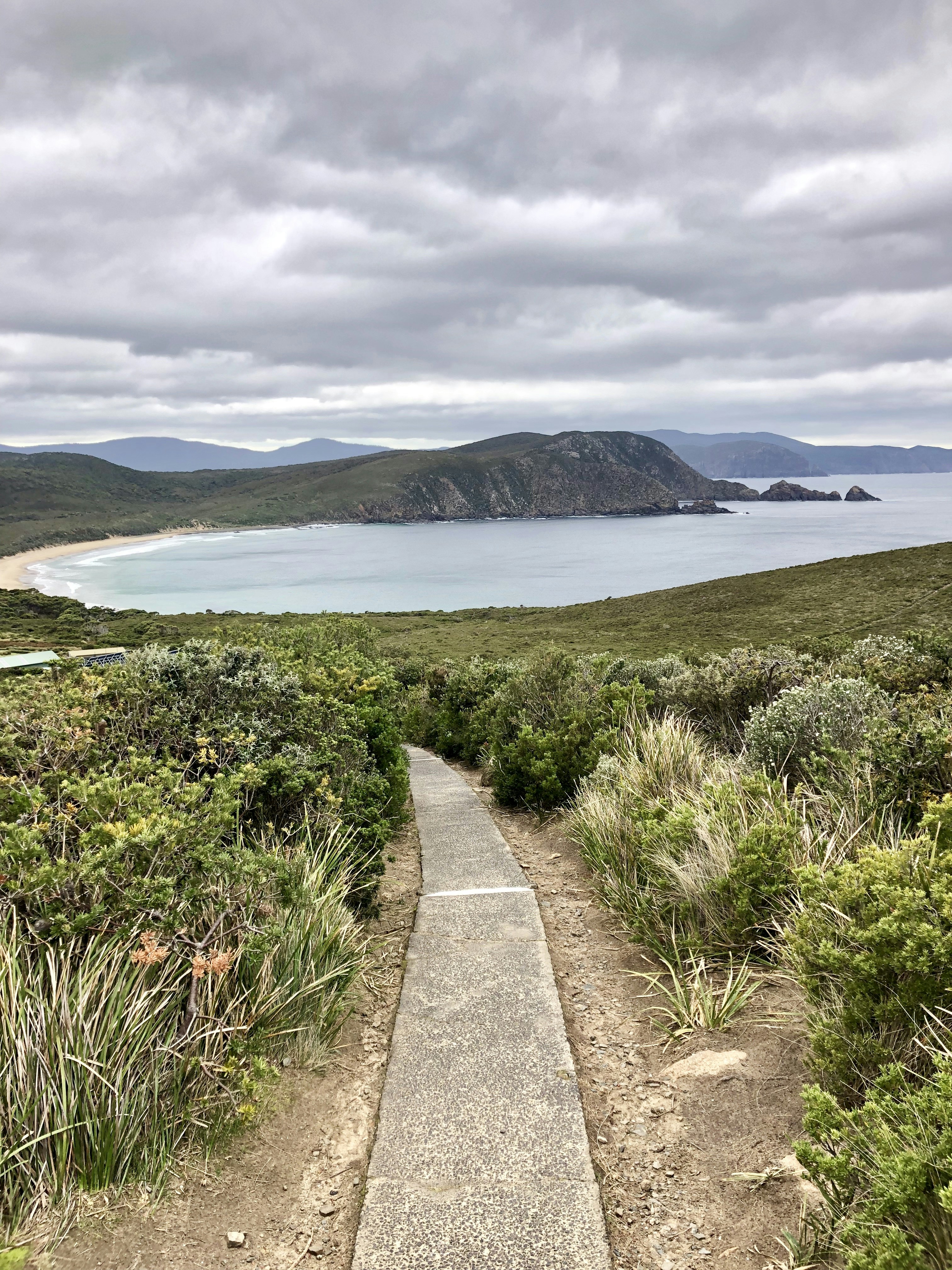 gray concrete pathway near green grass field and body of water during daytime