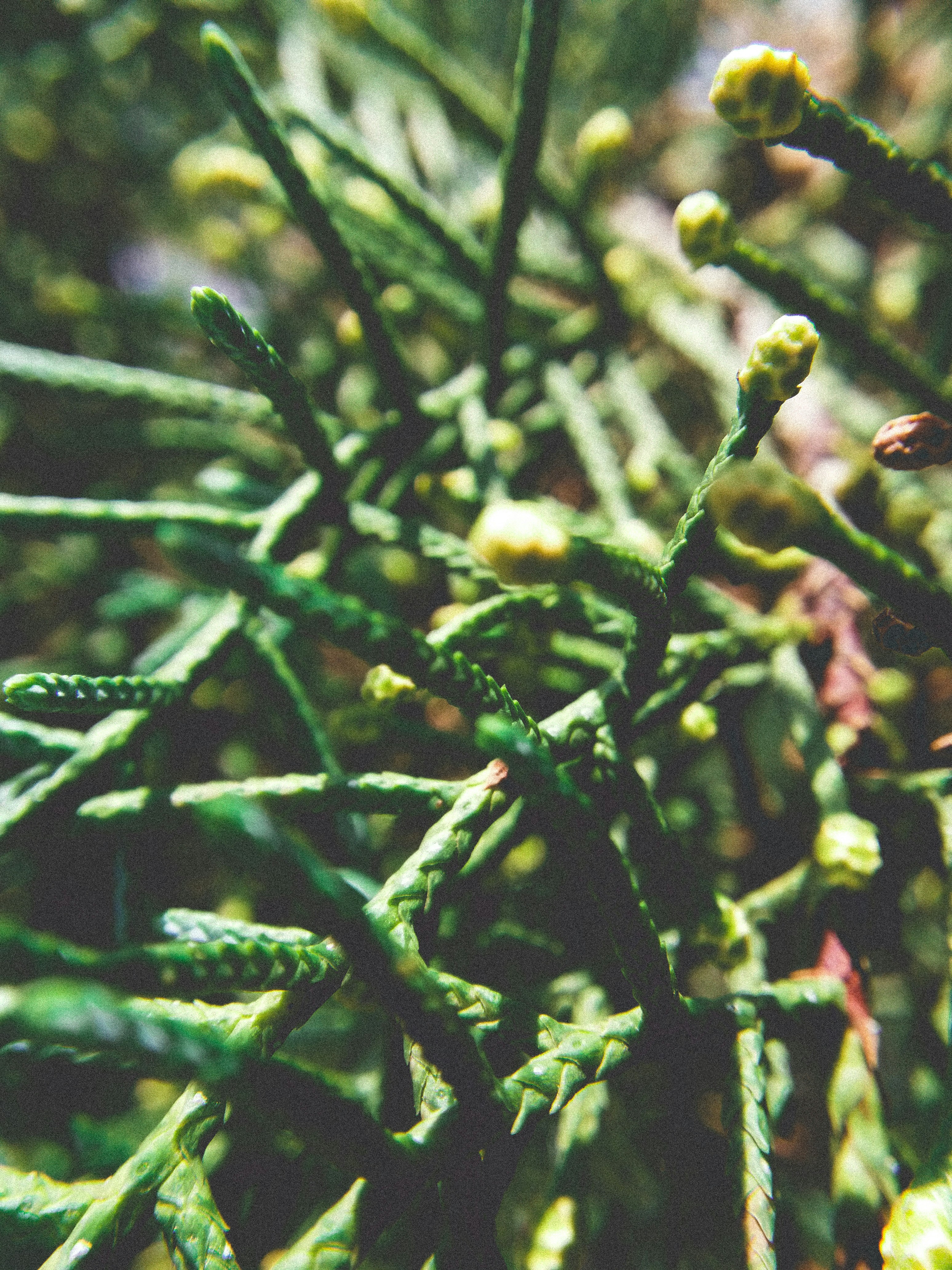 Photo by aleebagherzadeh