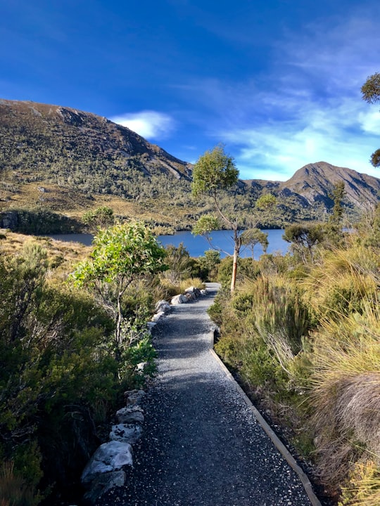 gray concrete road between green grass field during daytime in Cradle Mountain-Lake St Clair National Park Australia