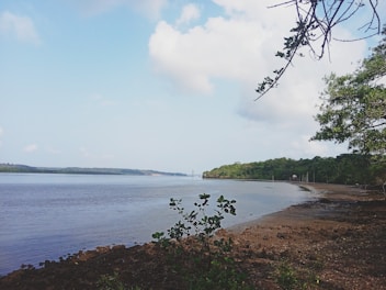 A peaceful riverside view perfect for relaxation.
