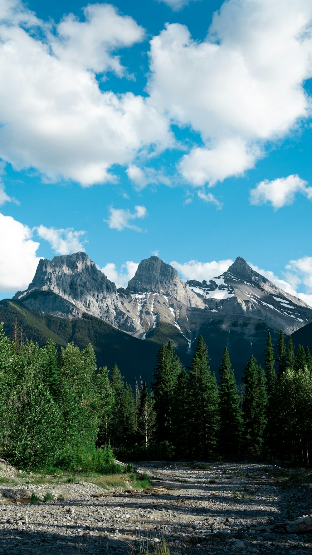 green pine trees near snow covered mountain under blue and white cloudy sky during daytime