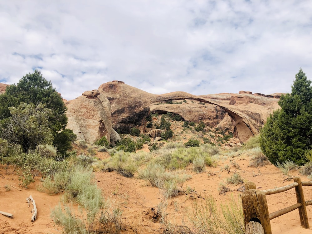 brown rock formation near green trees during daytime