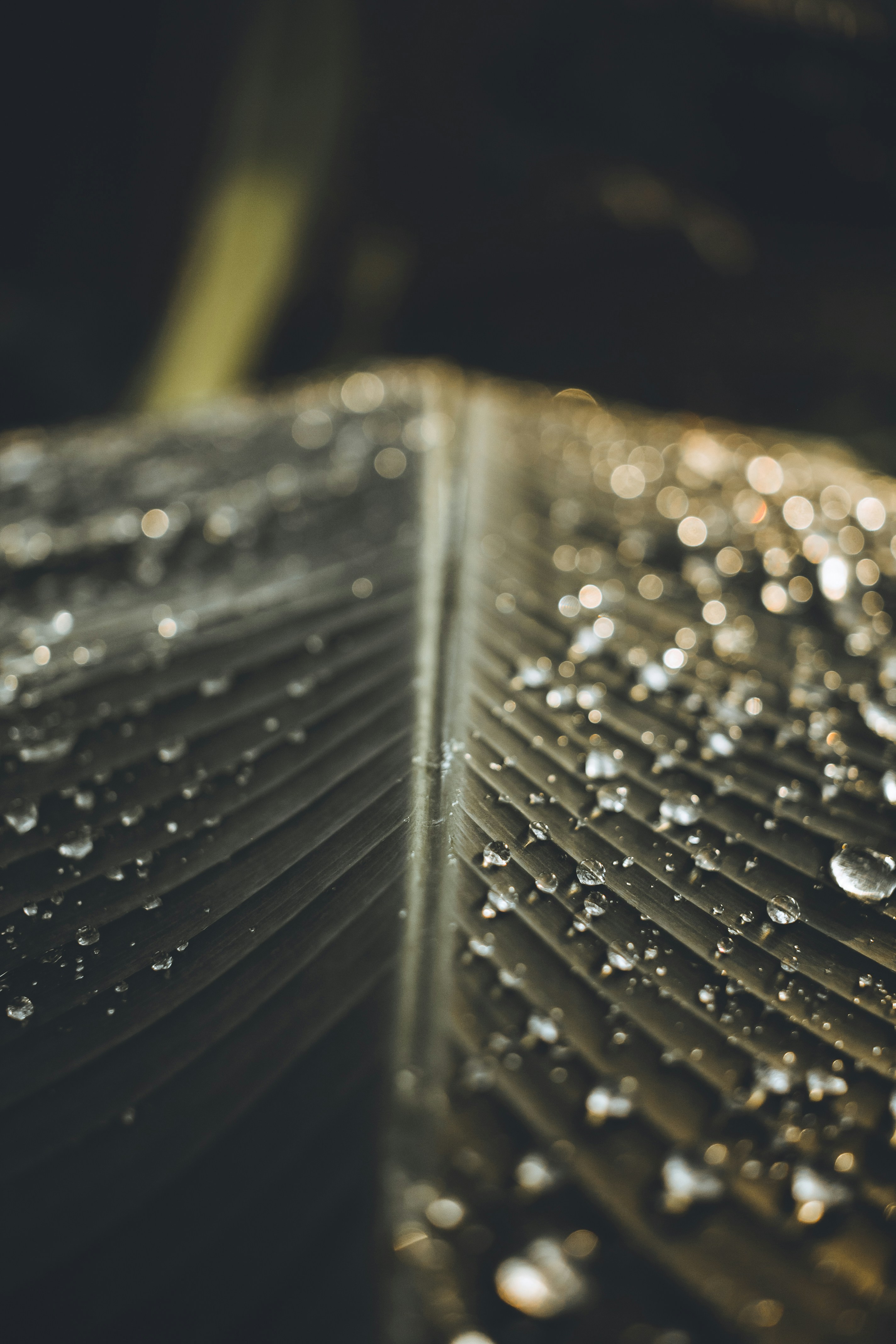 Photo by deena_leigh