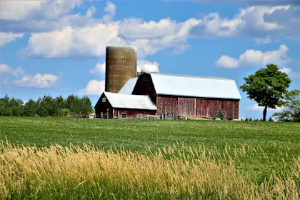 Wooden barn on a green grass field