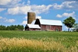 brown wooden barn on green grass field under blue sky during daytime