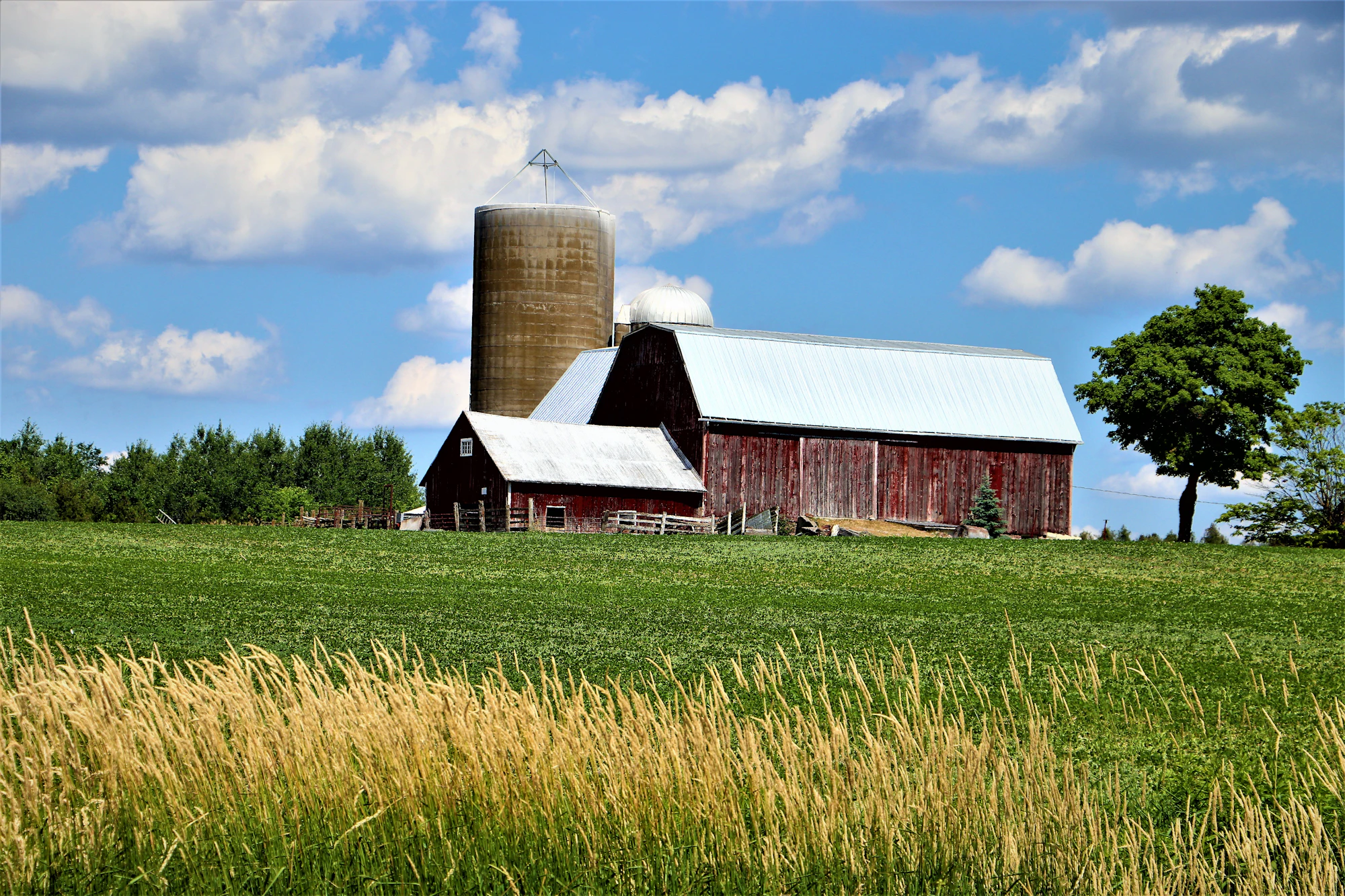 Wooden barn on a green field under a blue sky in rural Ohio