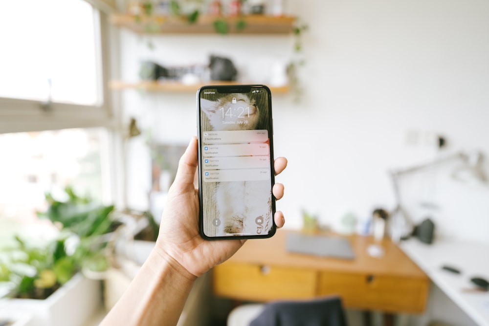 person holding silver iphone 6