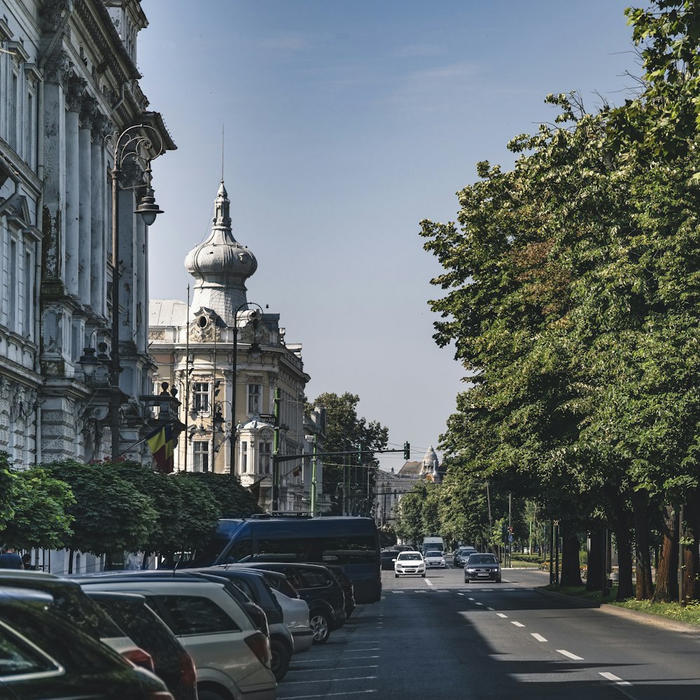 cars parked on roadside near trees and building during daytime