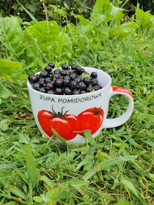 A large mug with images of tomatoes and the text 'Zupa Pomidorowa' is filled with dark berries, possibly blackcurrants, and is placed on vibrant green grass with leafy plants in the background.