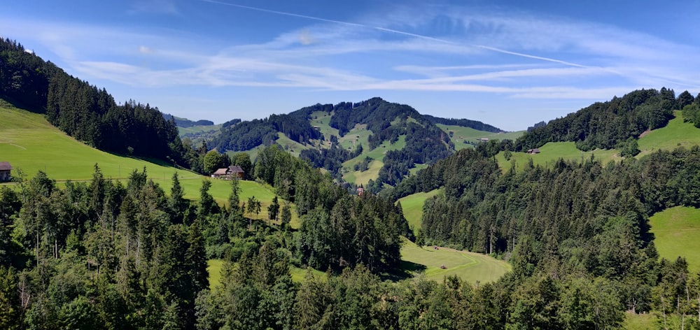 green trees on mountain under blue sky during daytime