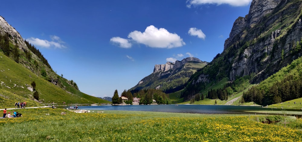 green and brown mountains under blue sky during daytime