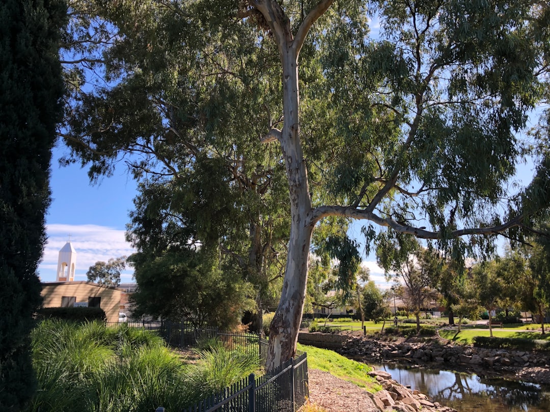 Nature reserve photo spot 80 Payneham Road Adelaide Botanic Garden