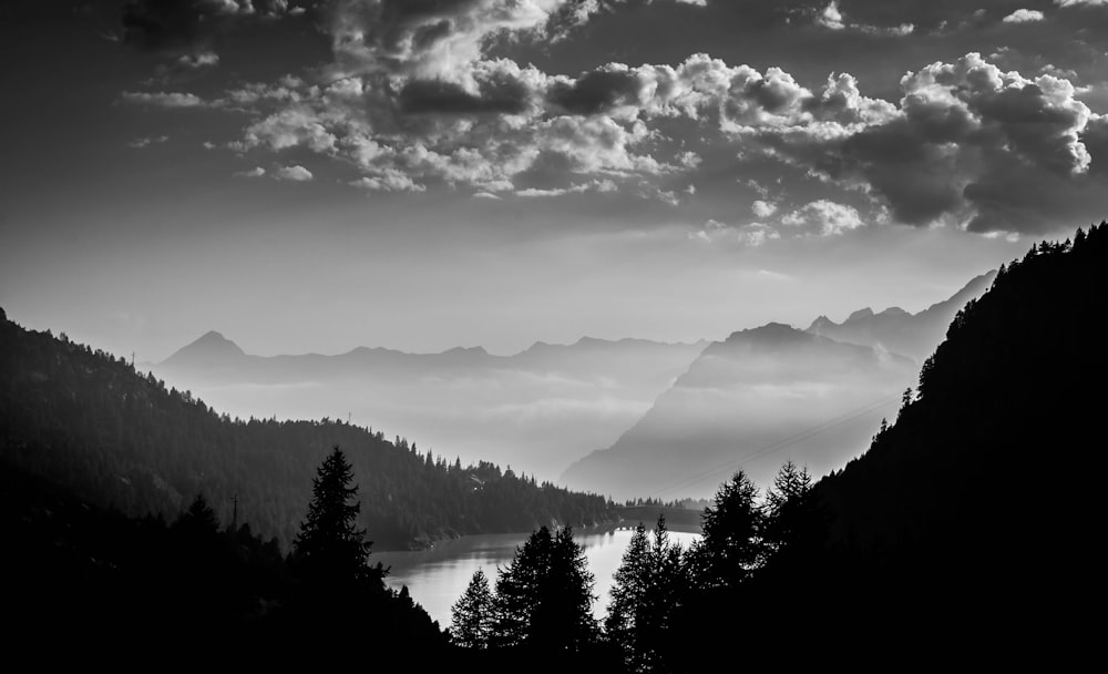 grayscale photo of trees and mountains