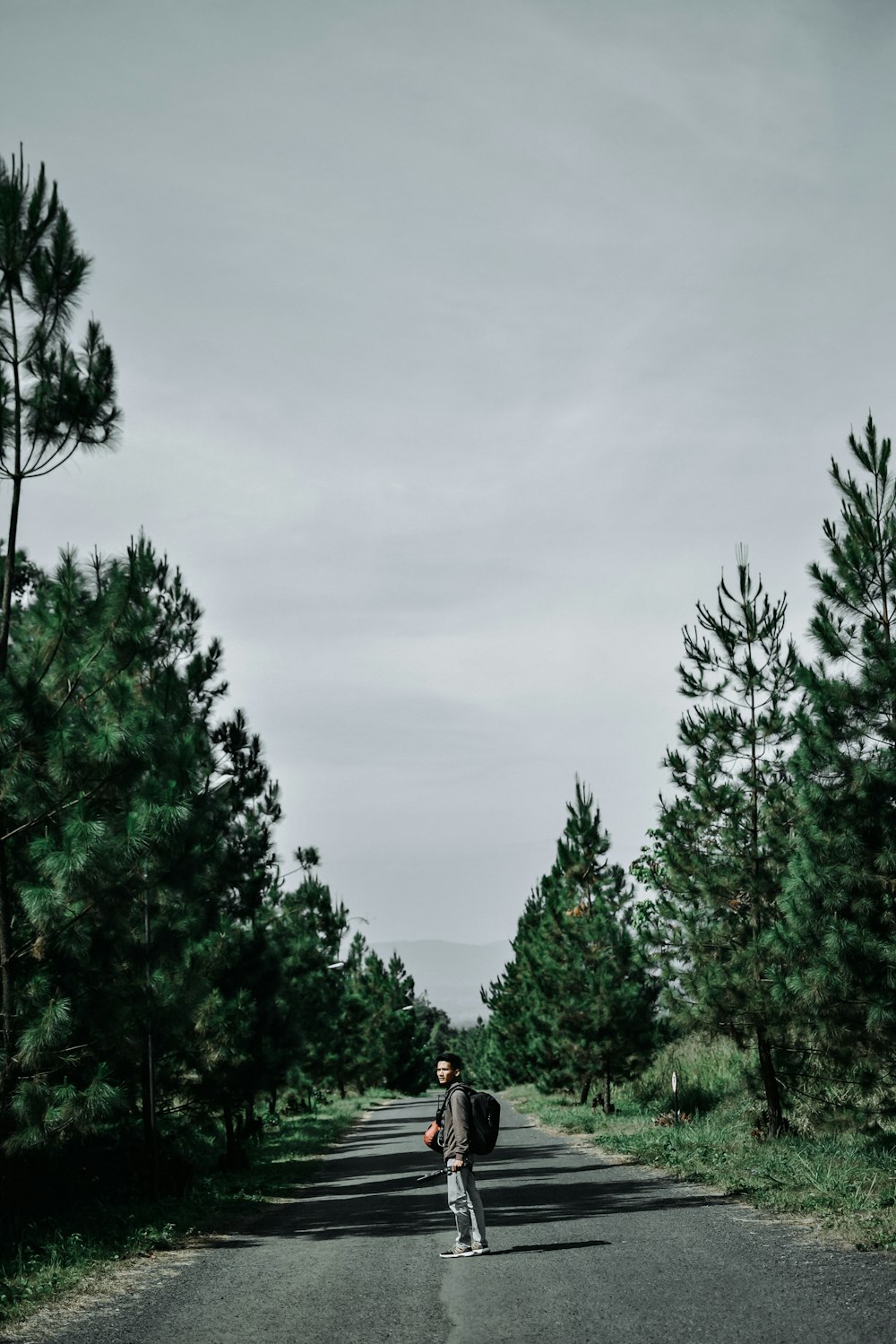 green trees under gray sky