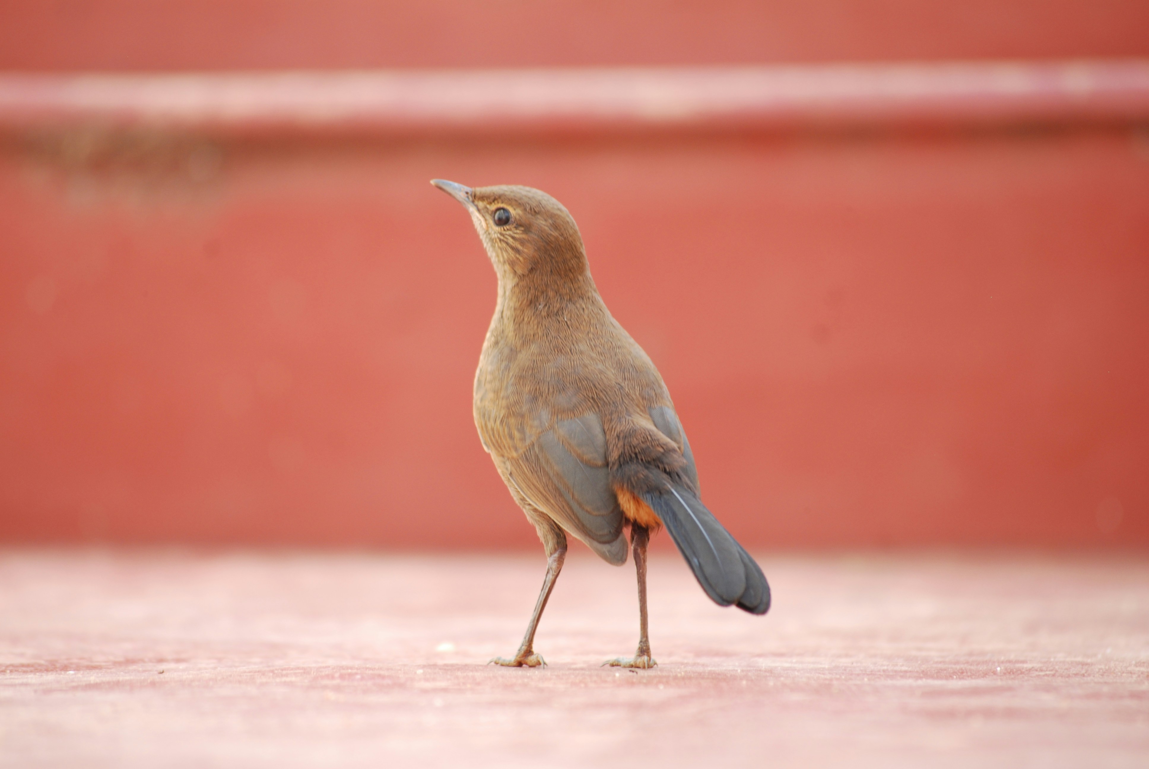 Photo by gnanaprakash