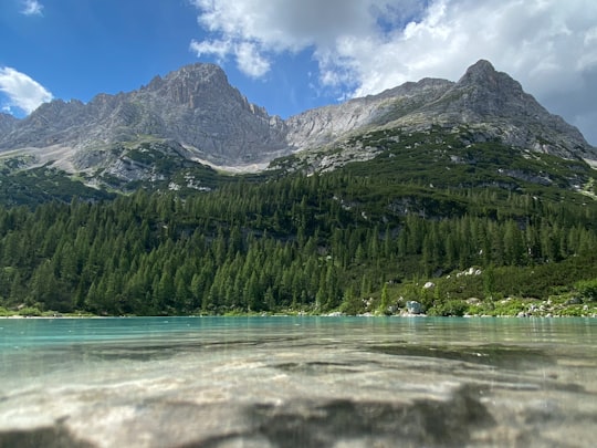 green pine trees near mountain under blue sky during daytime in Sorapiss Italy