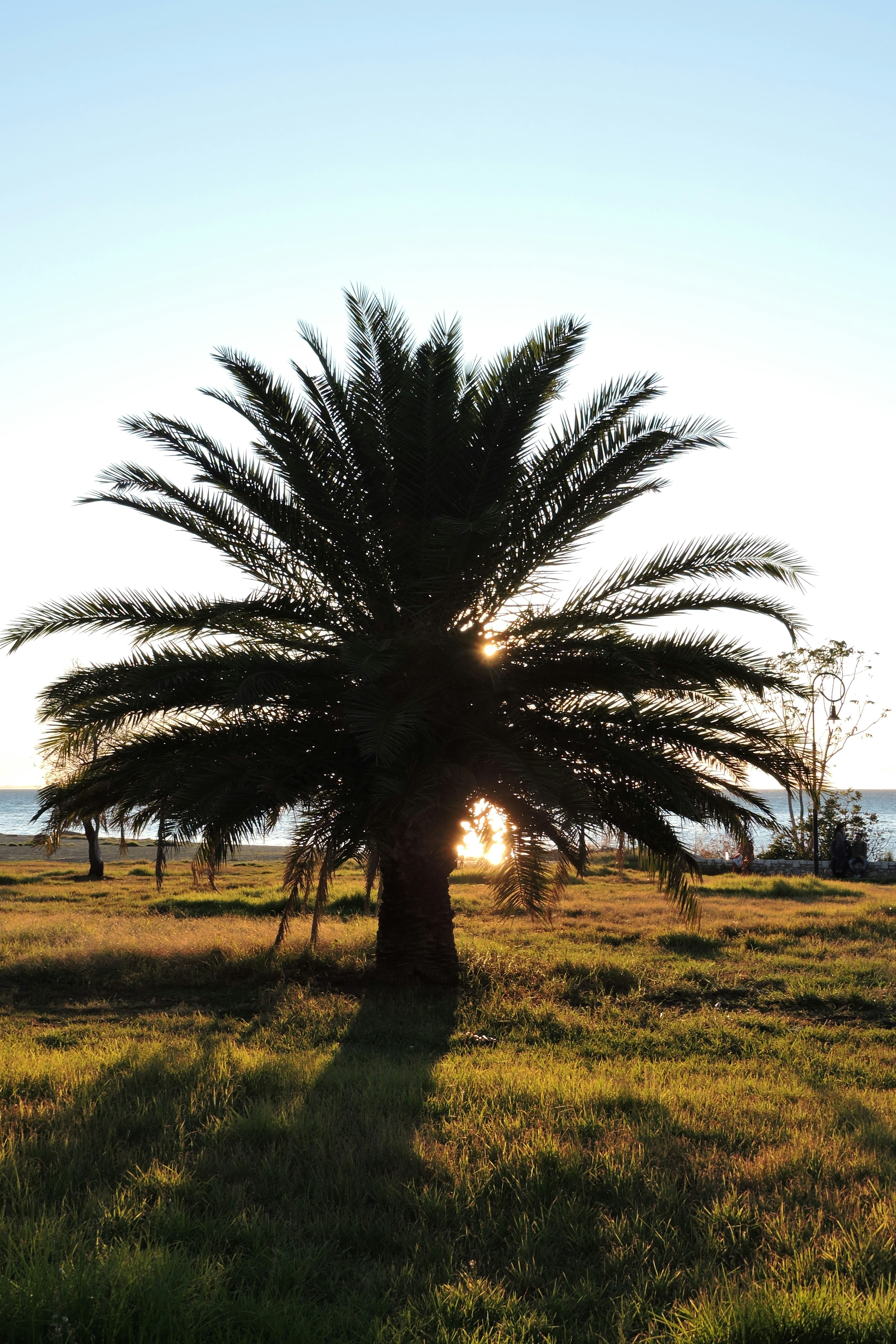 Photo by natakarmash