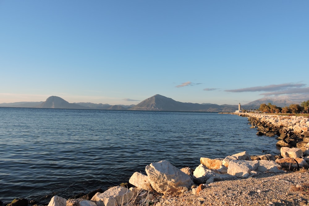 gray and brown rocks near body of water during daytime