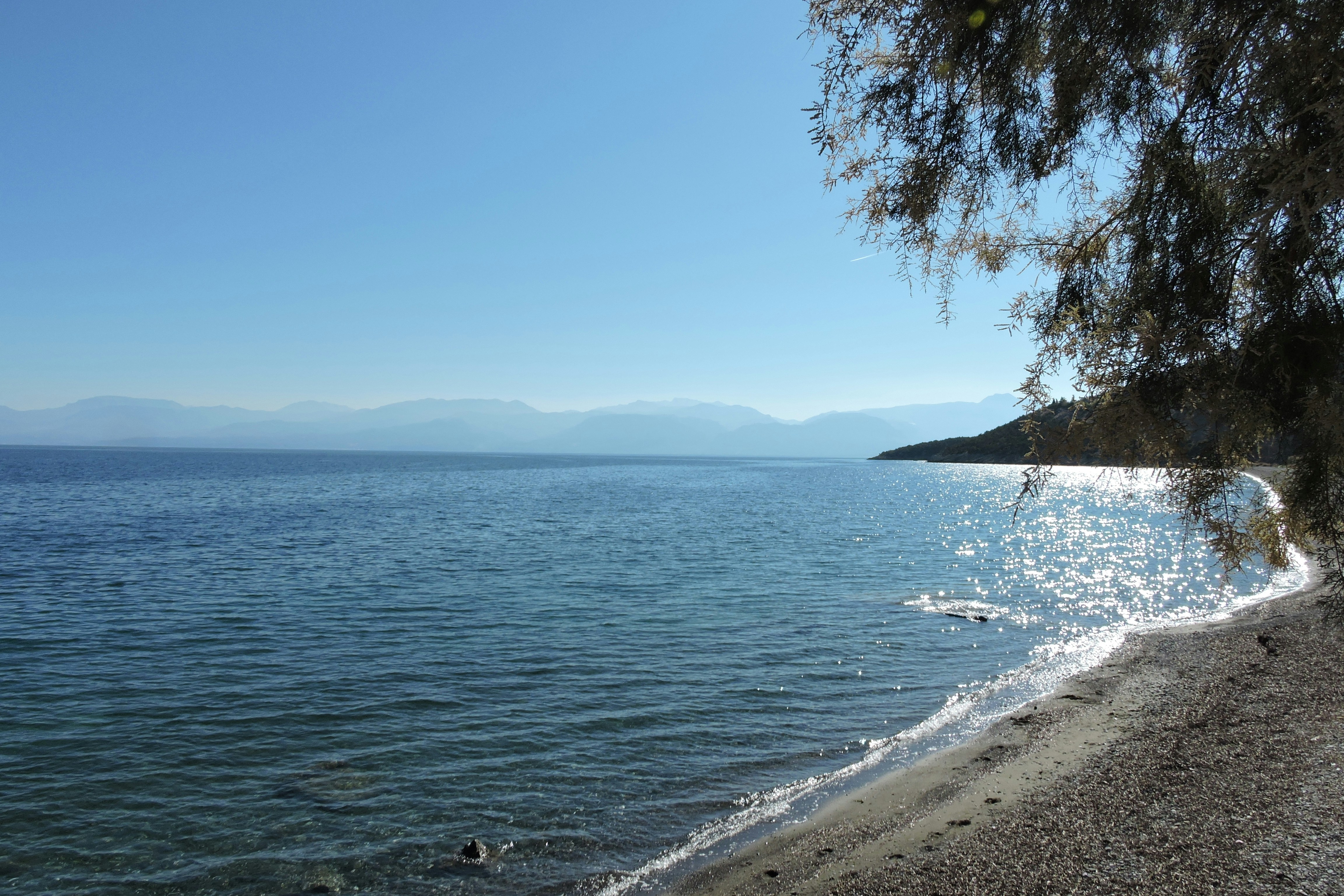 Photo by natakarmash