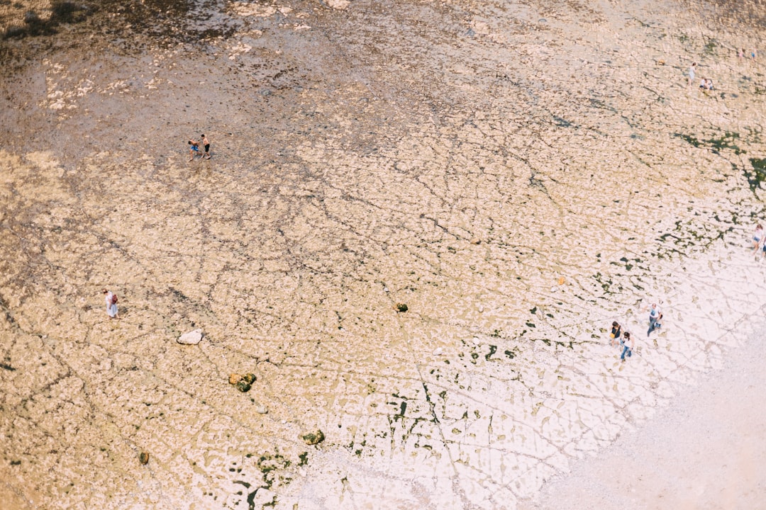 green grass on gray sand