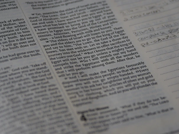 A close-up of handwritten notes and highlighted passages from a favorite book.