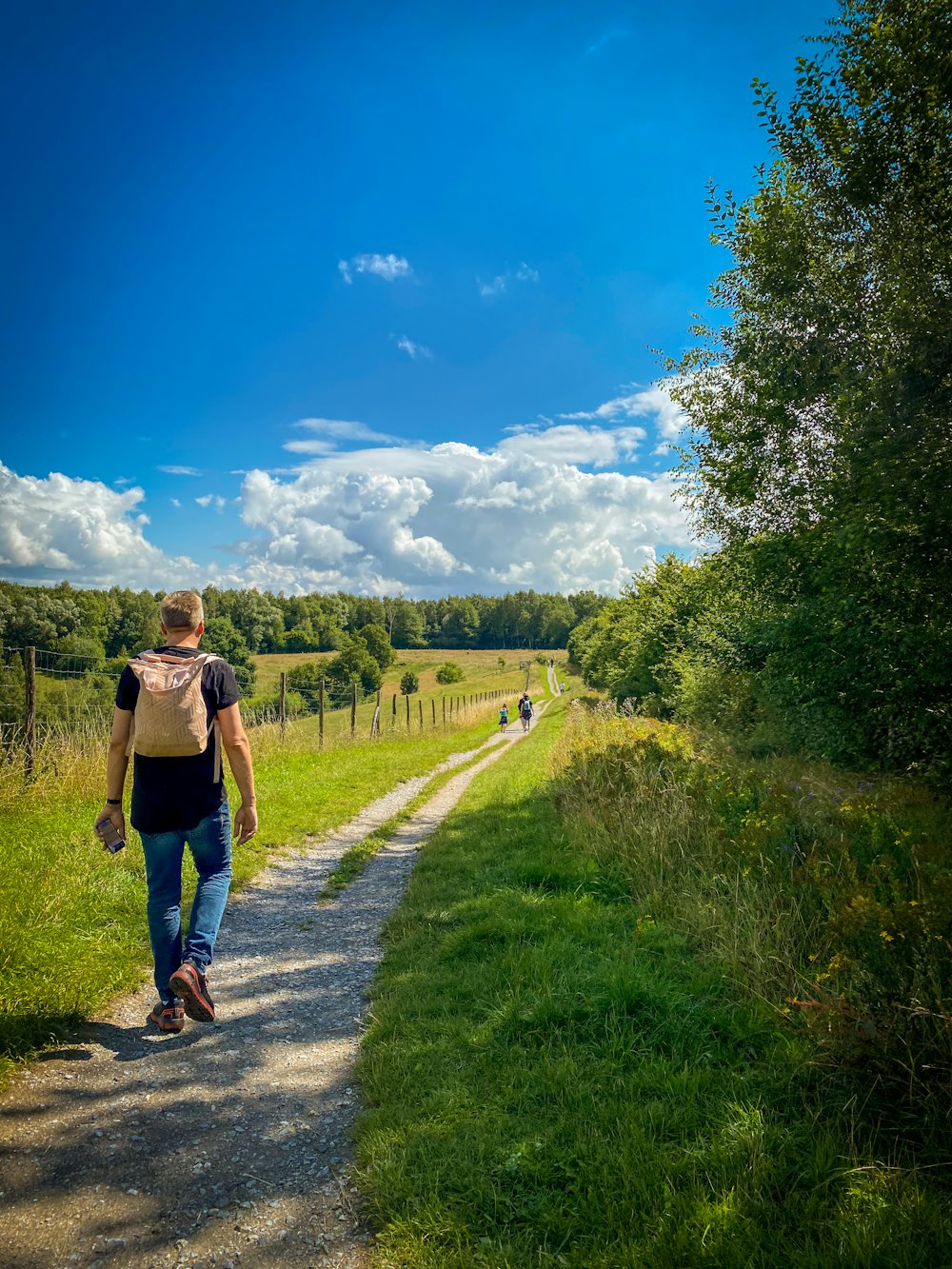 homem de camiseta marrom e shorts jeans azuis andando no caminho entre o campo de grama verde