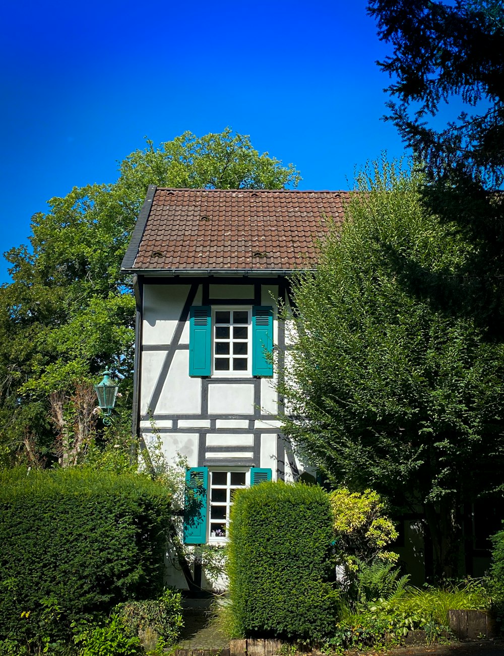 green trees near white and brown house under blue sky during daytime