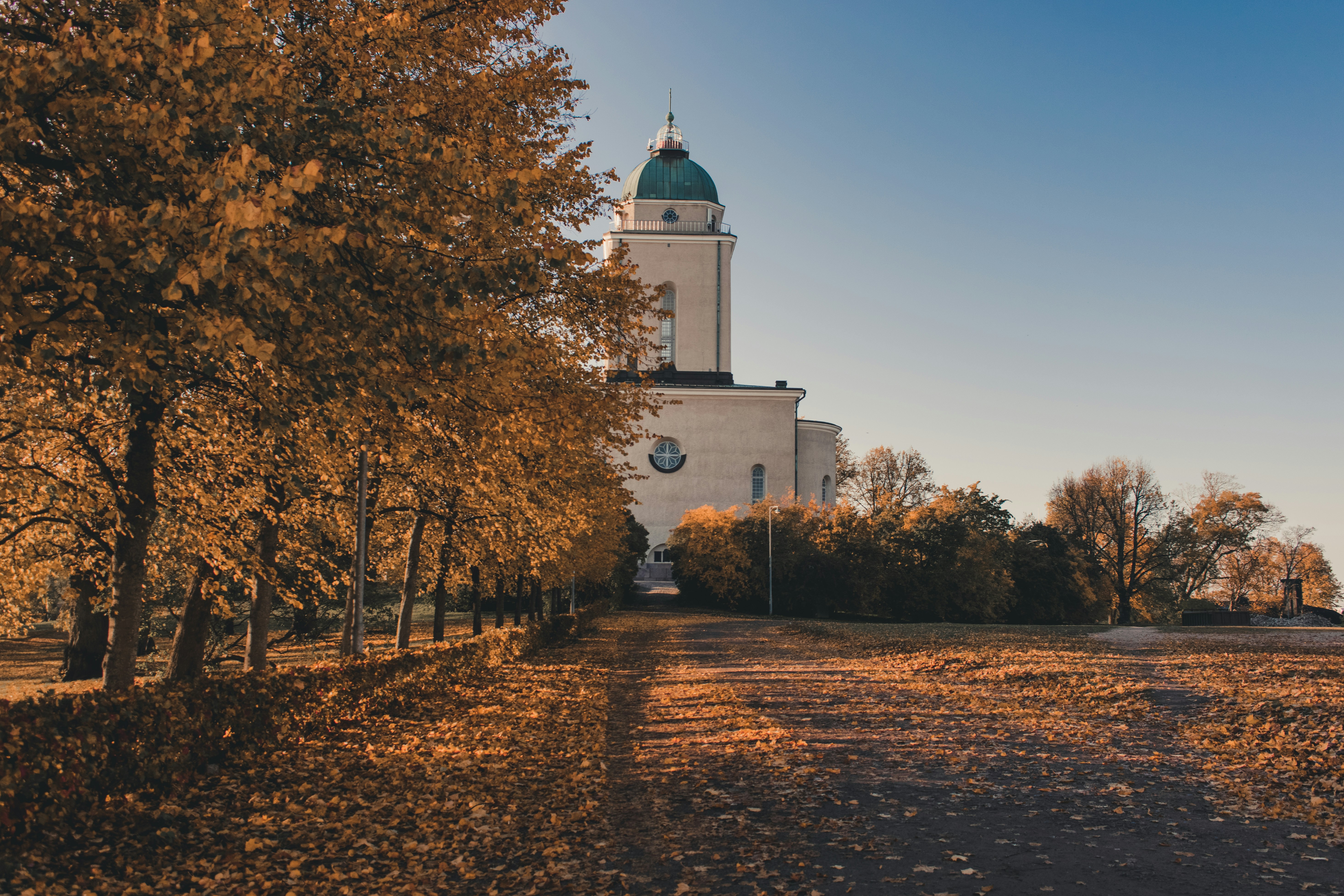 Image by Mary Ray via Unsplash