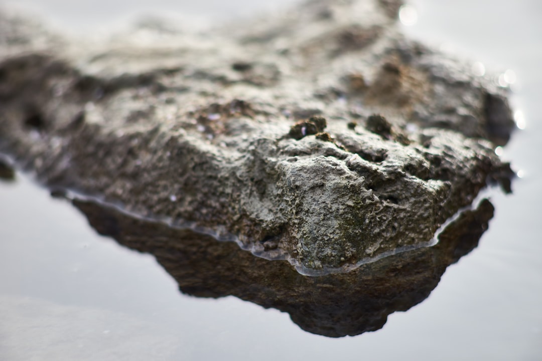 gray rock on water during daytime