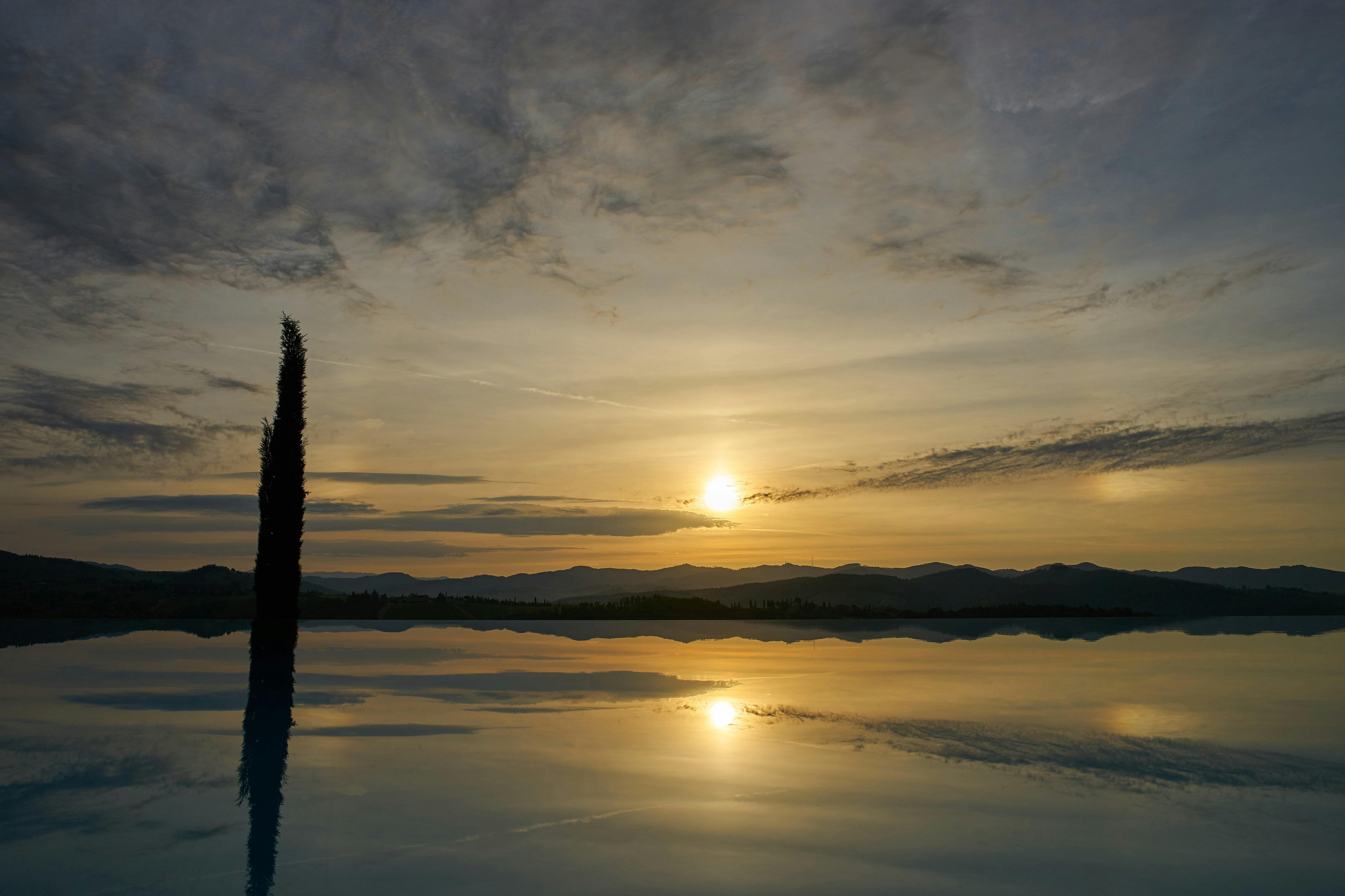 Photo by wolfgang_hasselmann