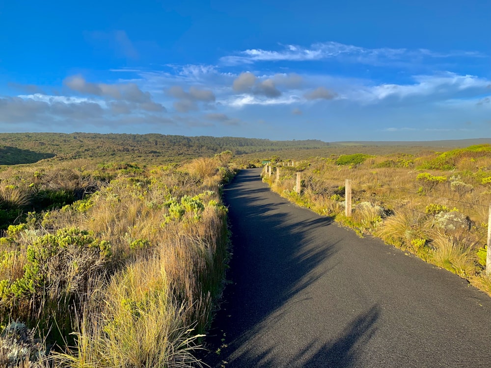 gray asphalt road between green grass field under blue sky during daytime