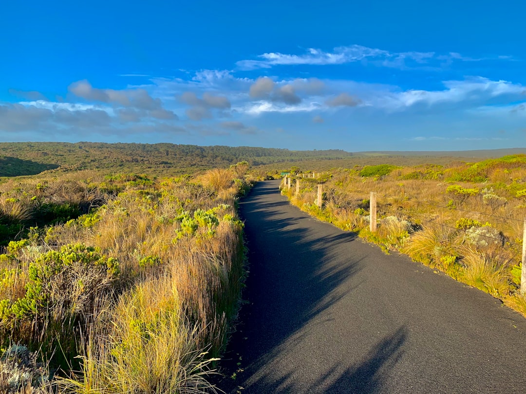Hill photo spot Great Ocean Road Flinders VIC