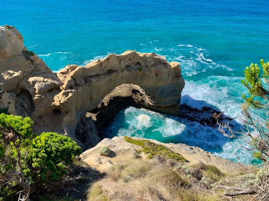 brown rock formation near blue sea during daytime in The Arch Australia