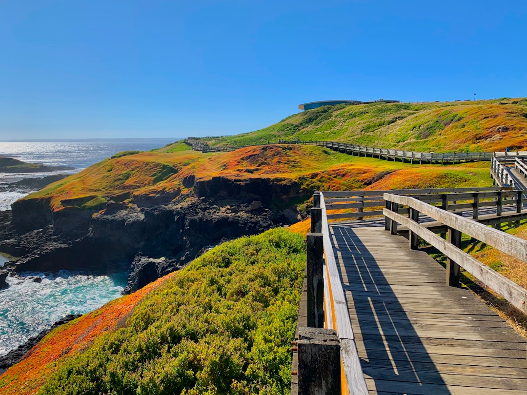 Headland photo spot Phillip Island Sorrento VIC