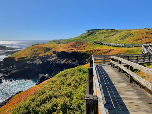 Exploring Victoria: A Local's Guide