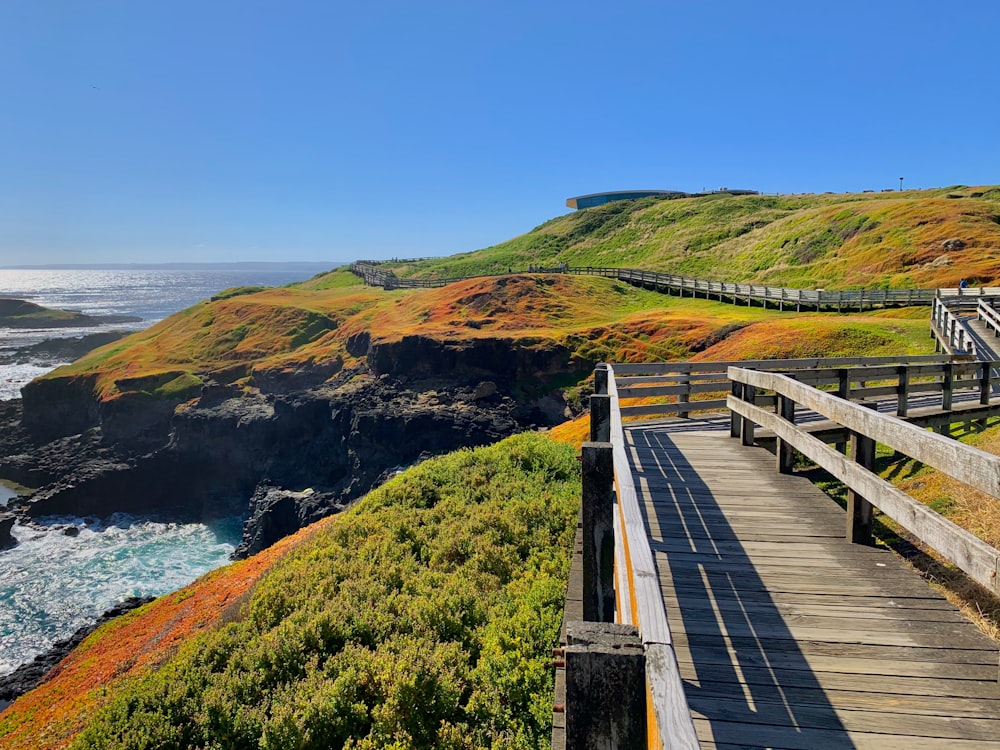 brown wooden bridge on green grass field near body of water during daytime