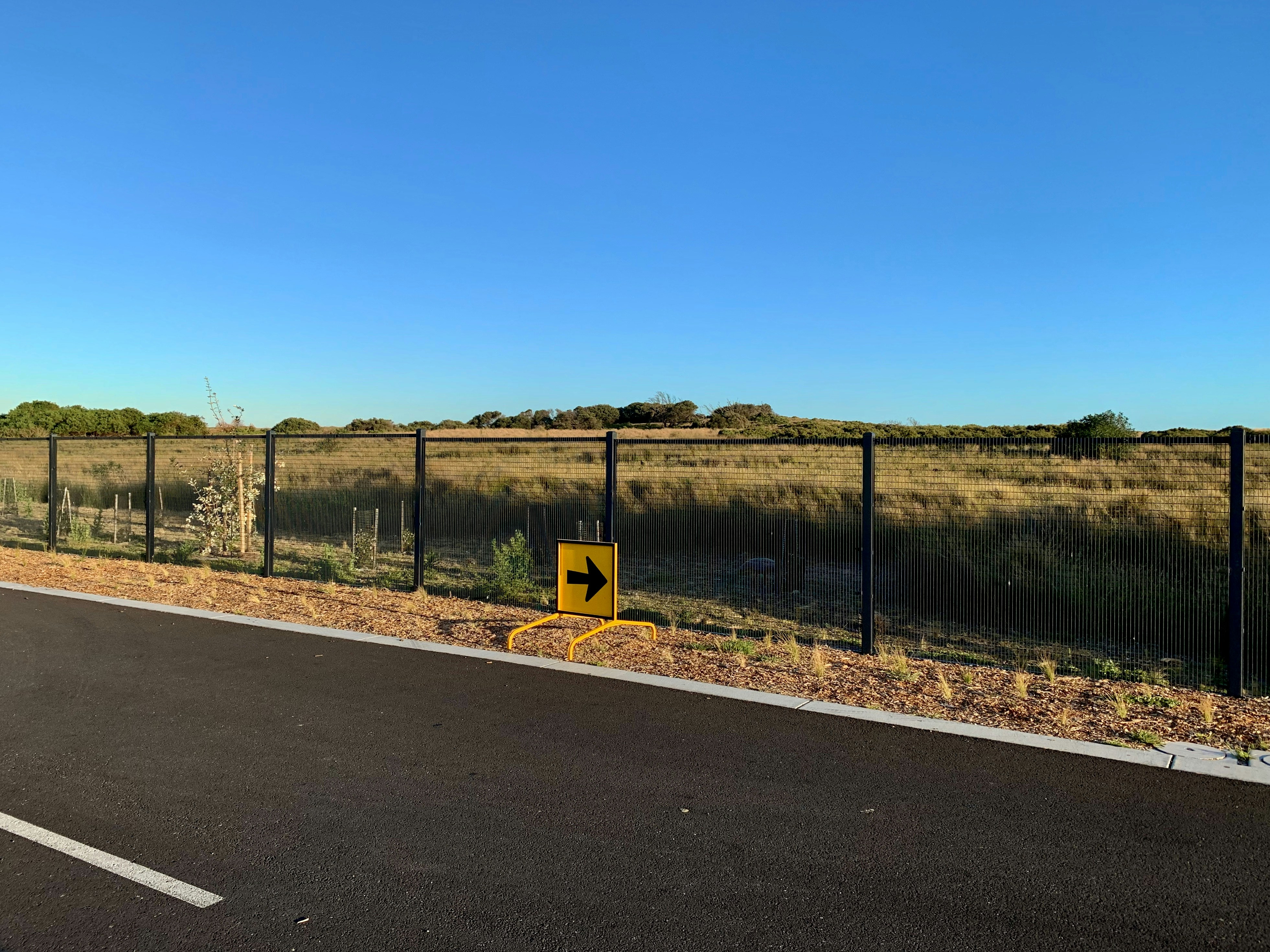 Photo by pingsterrrr