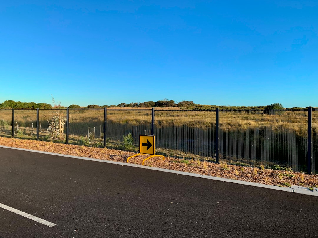 Road trip photo spot Penguin Parade Australia