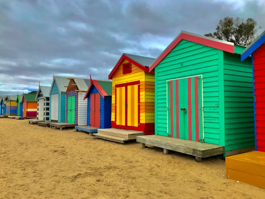 Brighton Bathing Boxes things to do in Bright