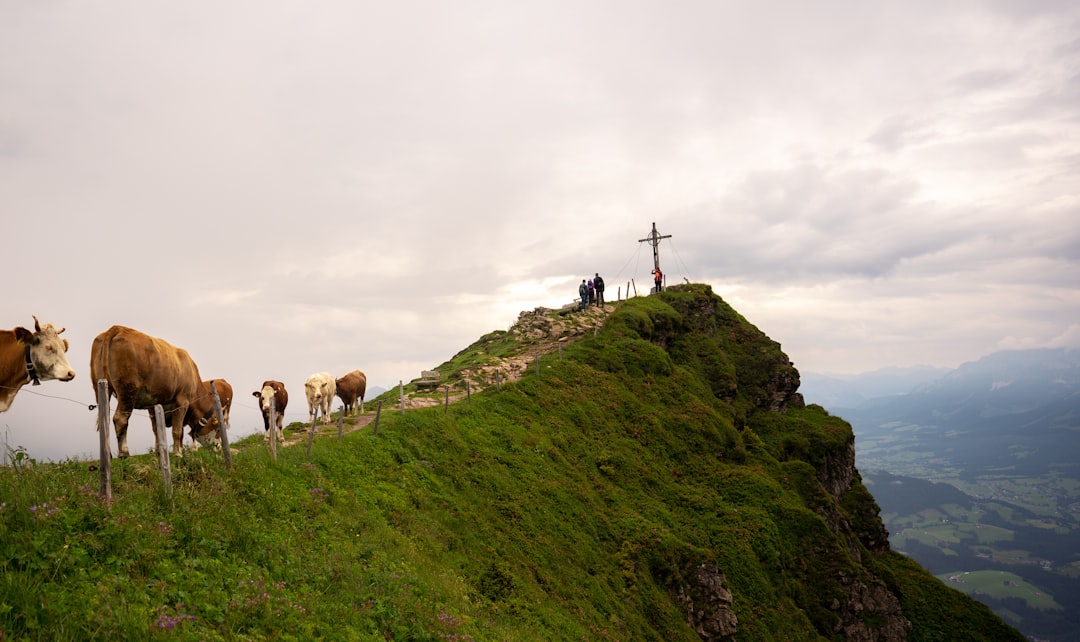 Mountain photo spot Kitzbüheler Horn Unkenberg